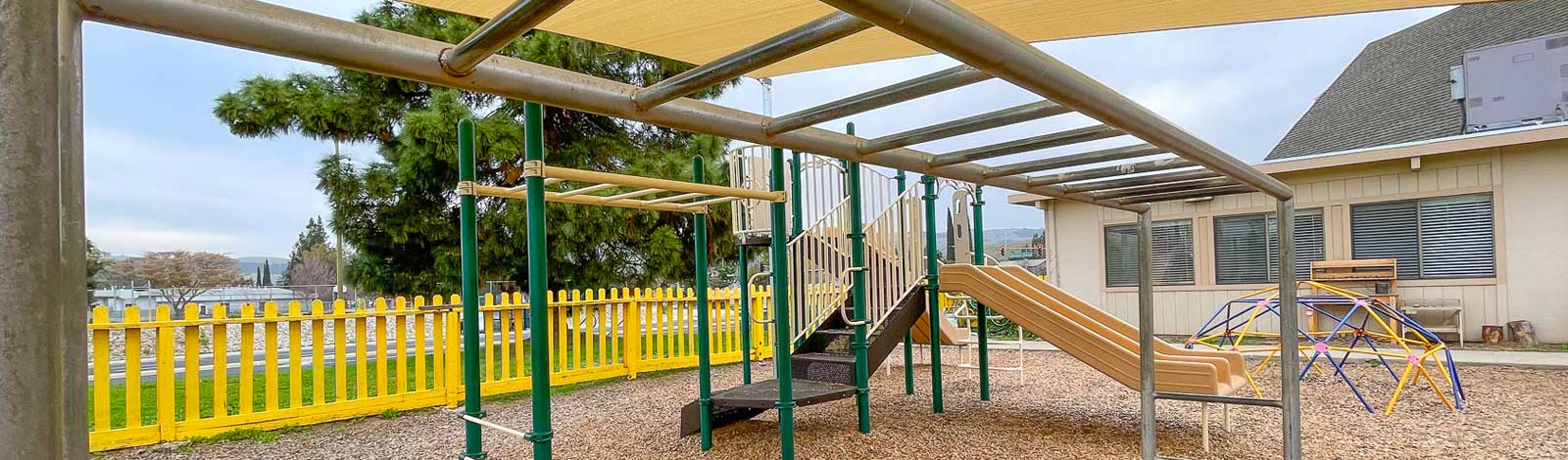 Little Tree Playschool – San Jose Day Care – After School Education
