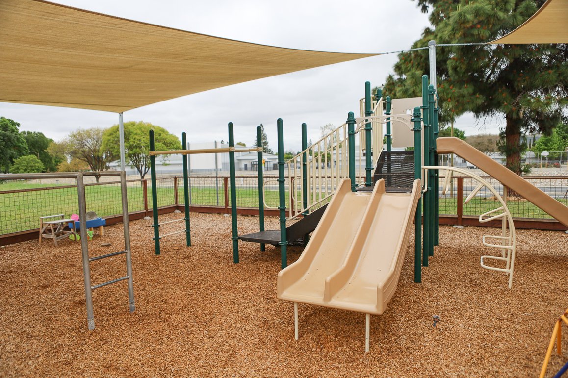 Little Tree Playschool