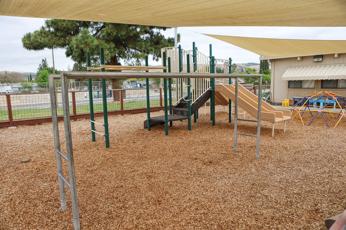 Little Tree Playschool